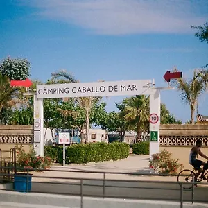 Sènia Caballo De Mar Pineda de Mar