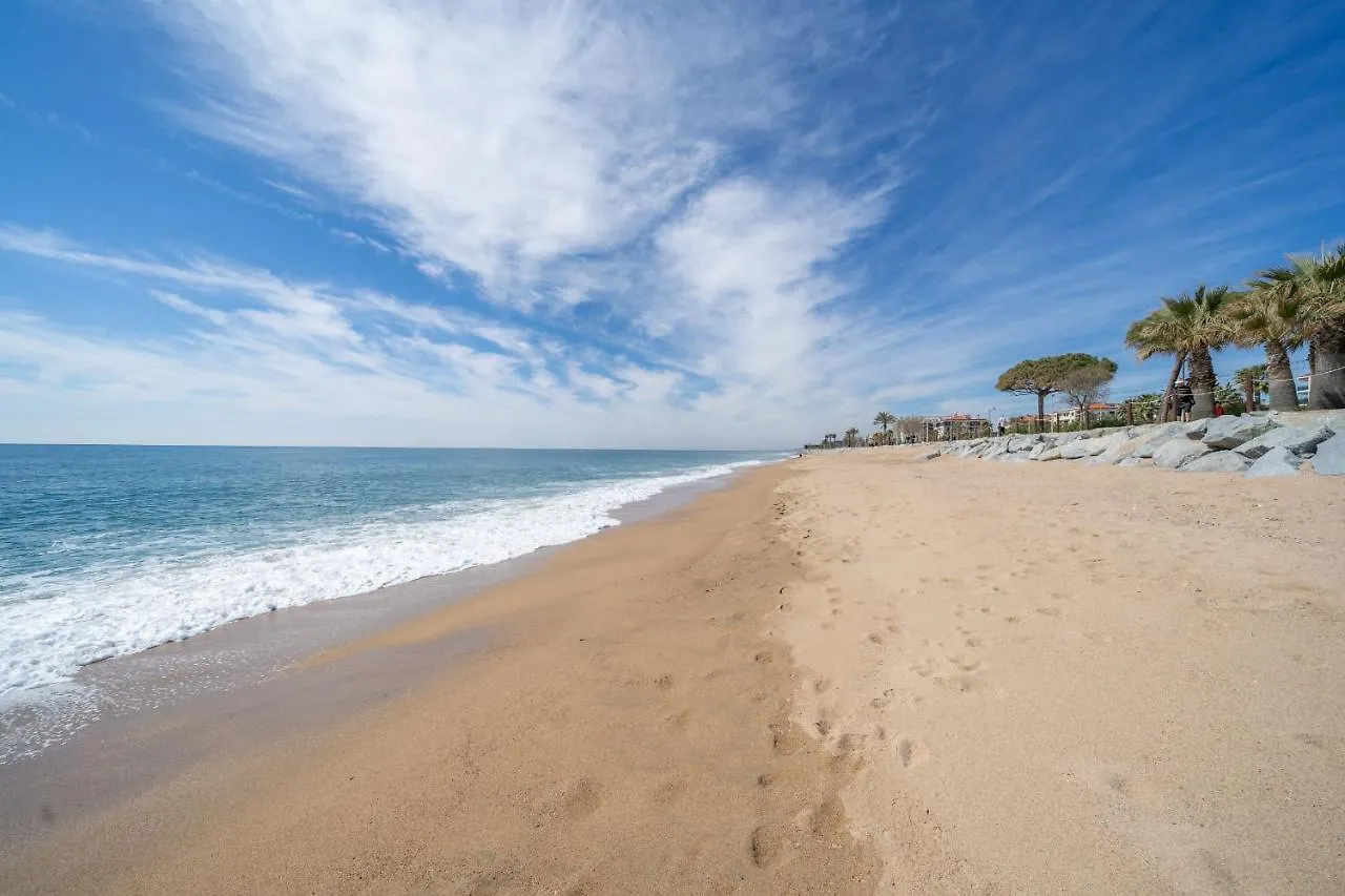 Apartment Homeholidaysrentals Blaucel - Costa Barcelona Pineda de Mar