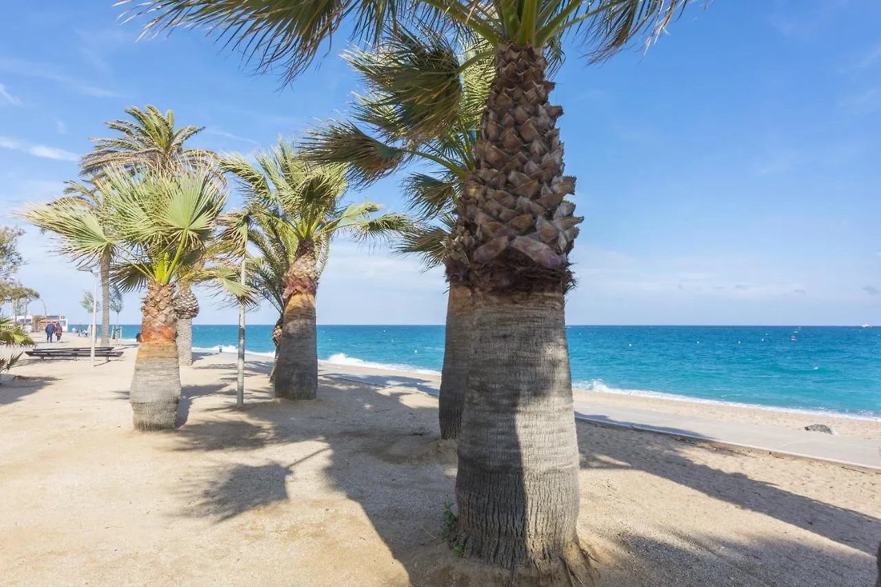 Apartment Homeholidaysrentals Blaucel - Costa Barcelona Pineda de Mar